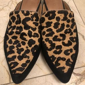Halogen calf hair leopard mules